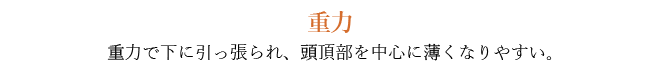 重力 - 重力で下に引っ張られ、頭頂部を中心に薄くなりやすい。