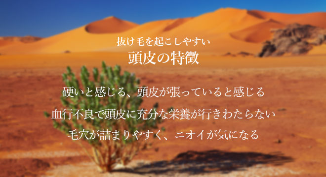 抜け毛を起こしやすい頭皮の特徴は、
・硬いと感じる、頭皮が張っていると感じる。
・血行不良が起こっており、頭皮に充分な栄養が行きわたらなくなっている。
・毛穴が詰まりやすく、ニオイが気になる。