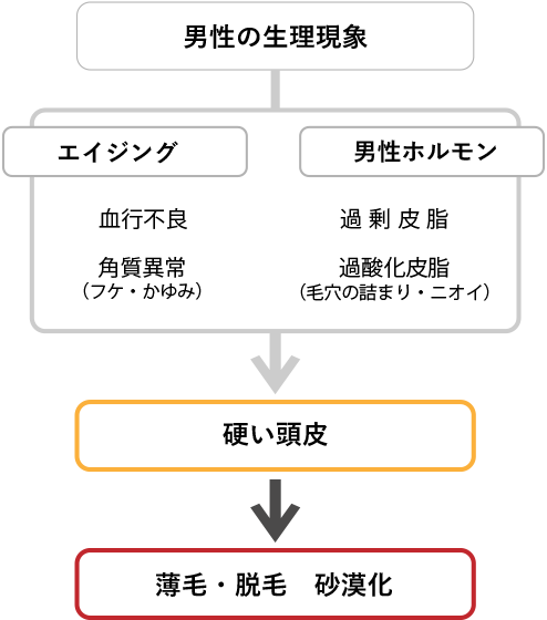 男性がヘッドスパをする理由